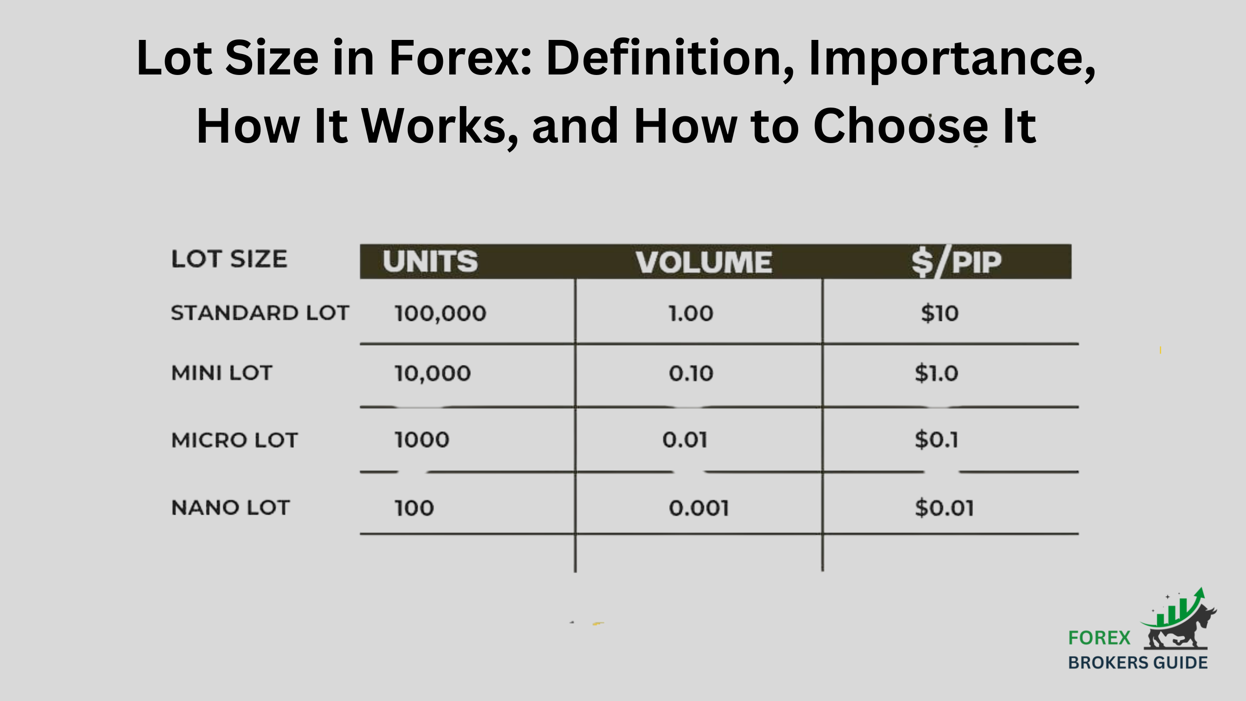 Lot Size in Forex Definition, Importance, How It Works, and How to Choose It
