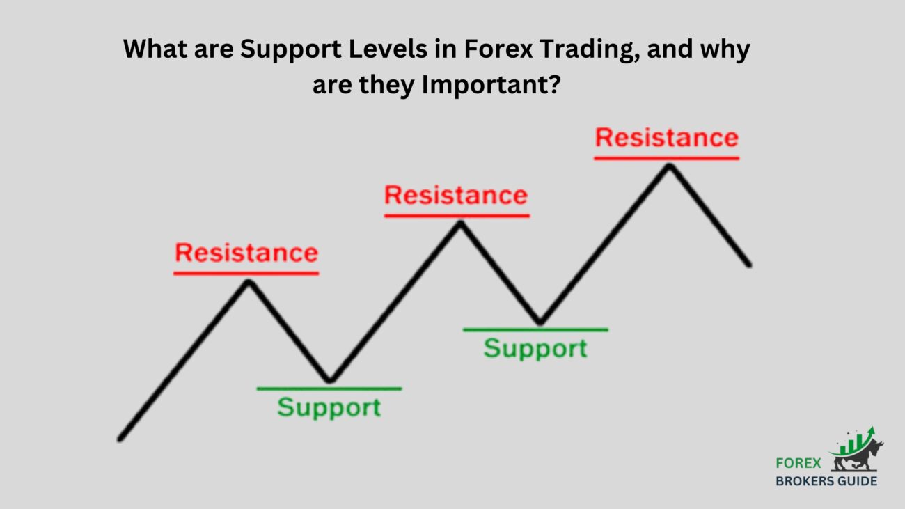 What are Support Levels in Forex Trading, and why are they Important