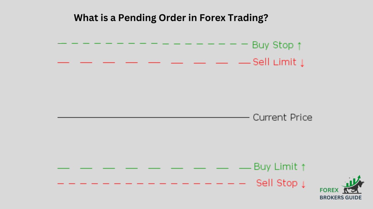 What is a Pending Order in Forex Tradin